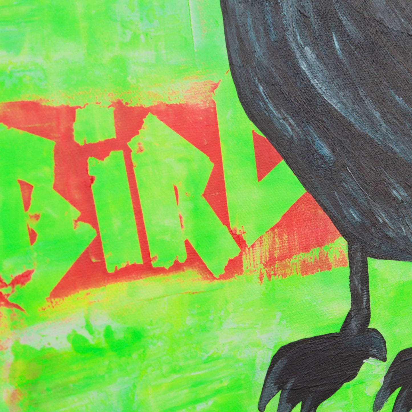 40×40 cm - The Black Bird
