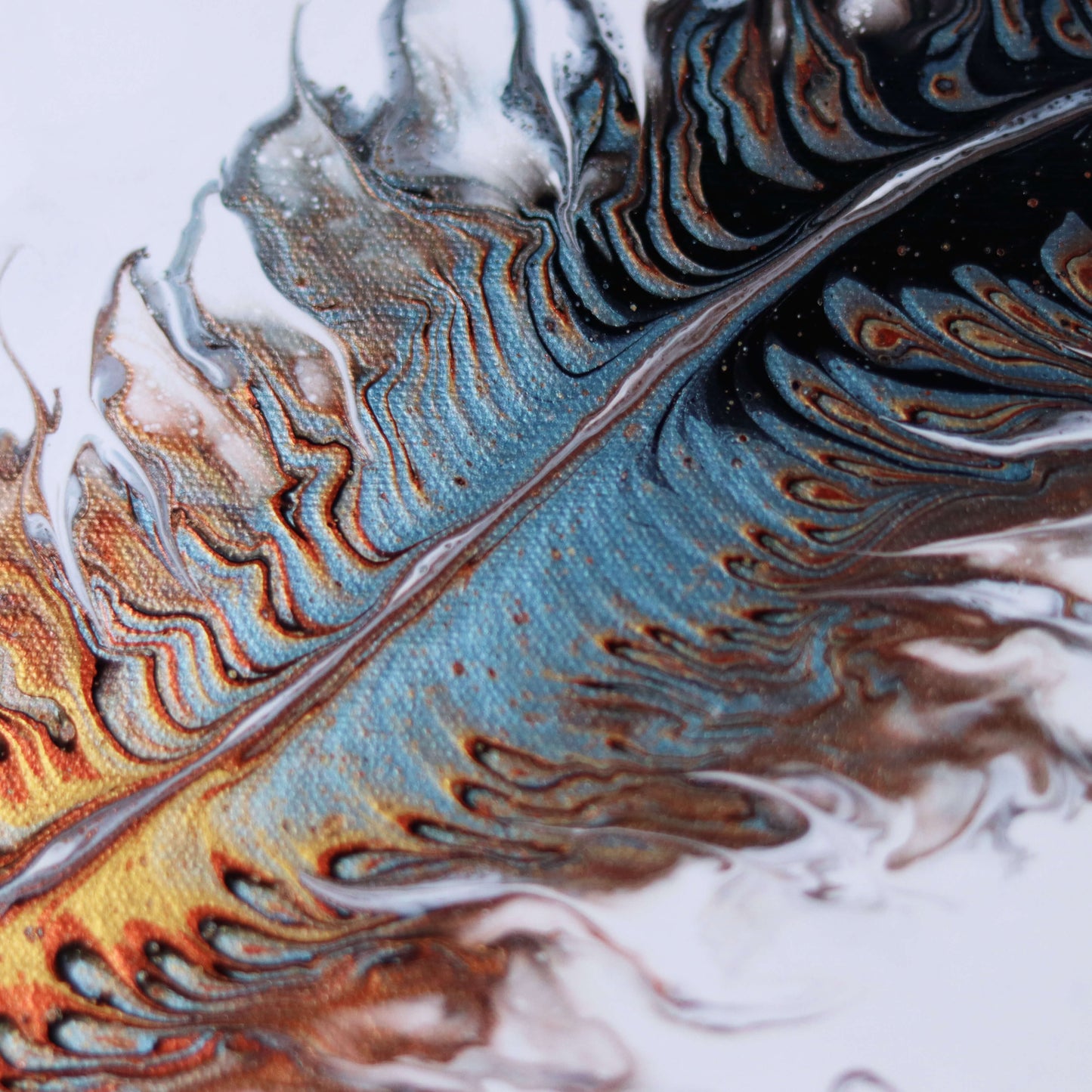 30×25 cm - Feather