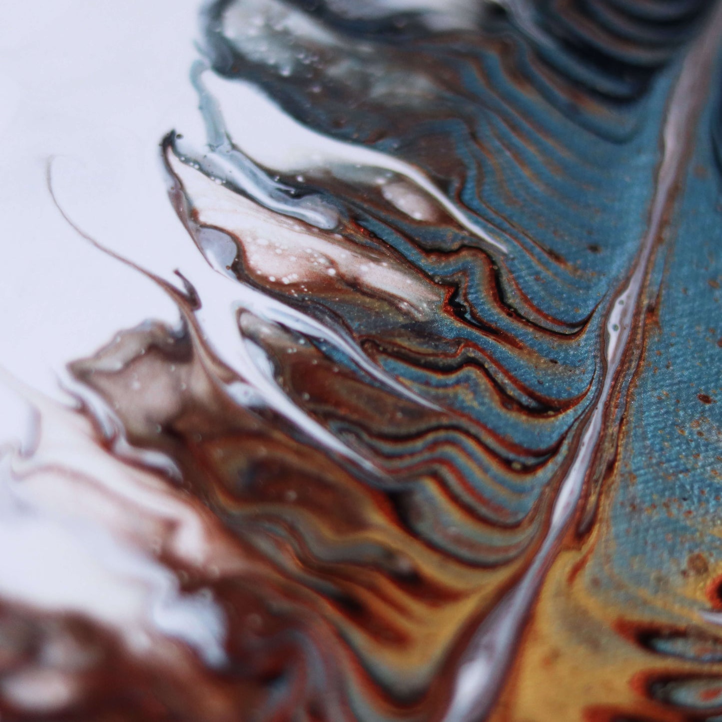 30×25 cm - Feather