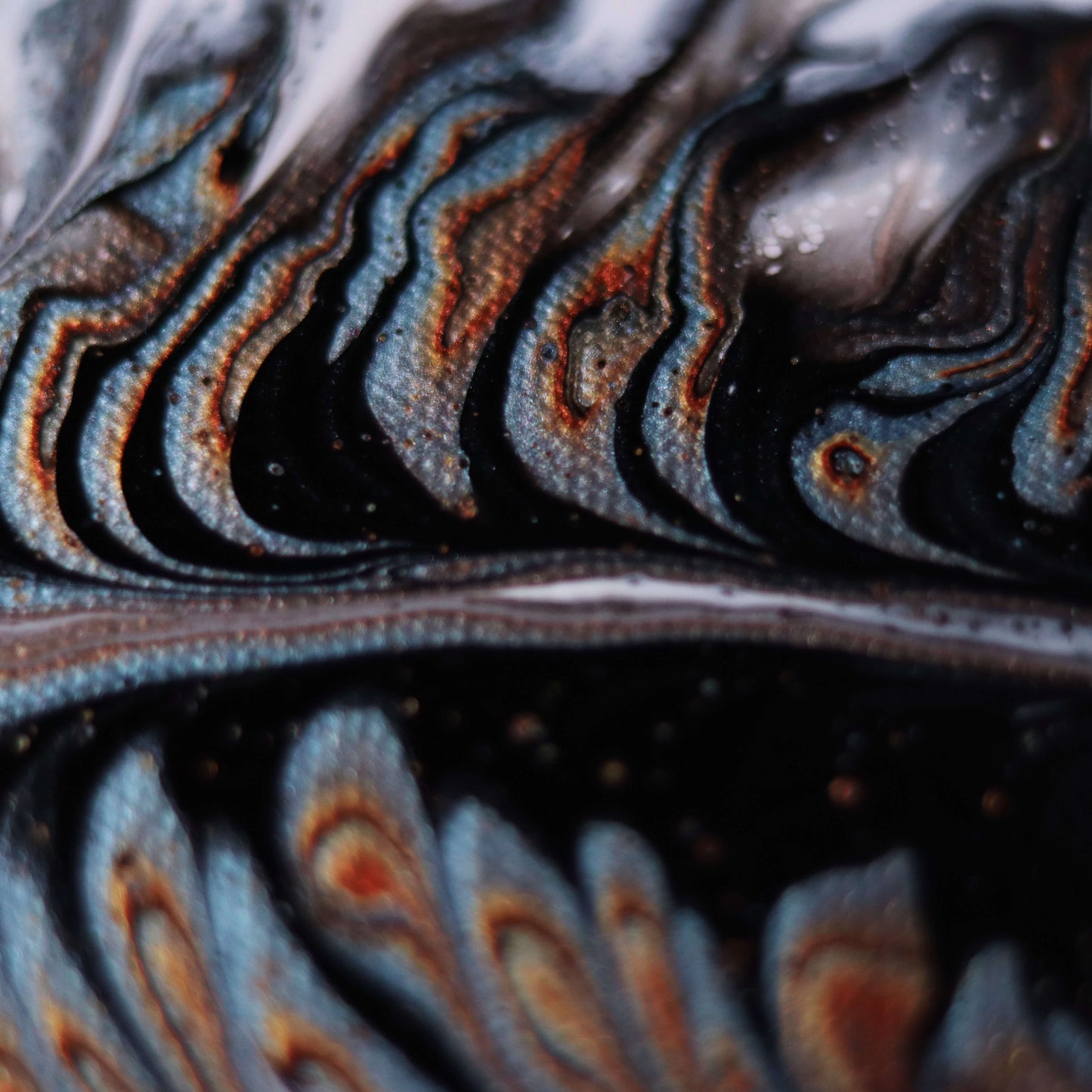30×25 cm - Feather