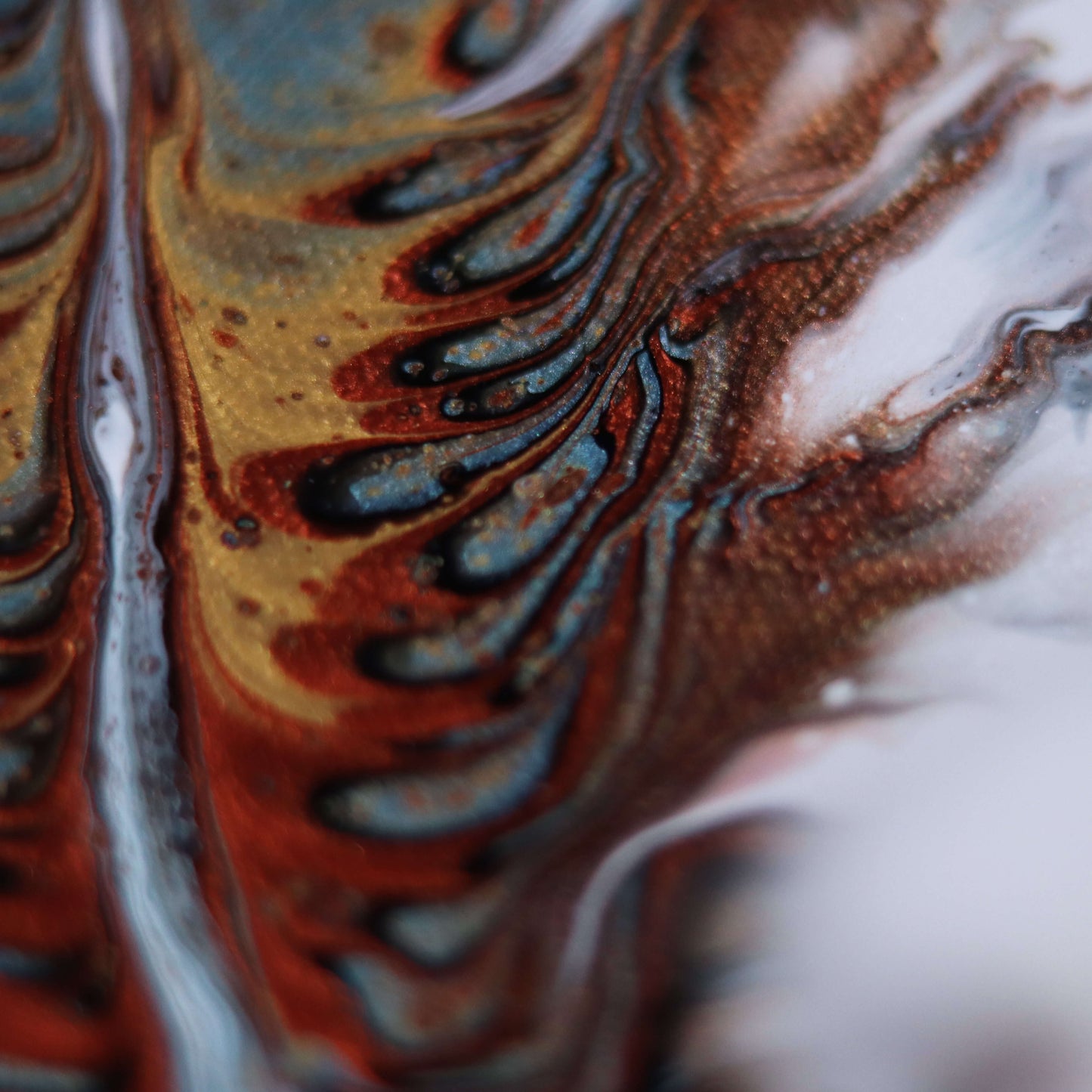 30×25 cm - Feather