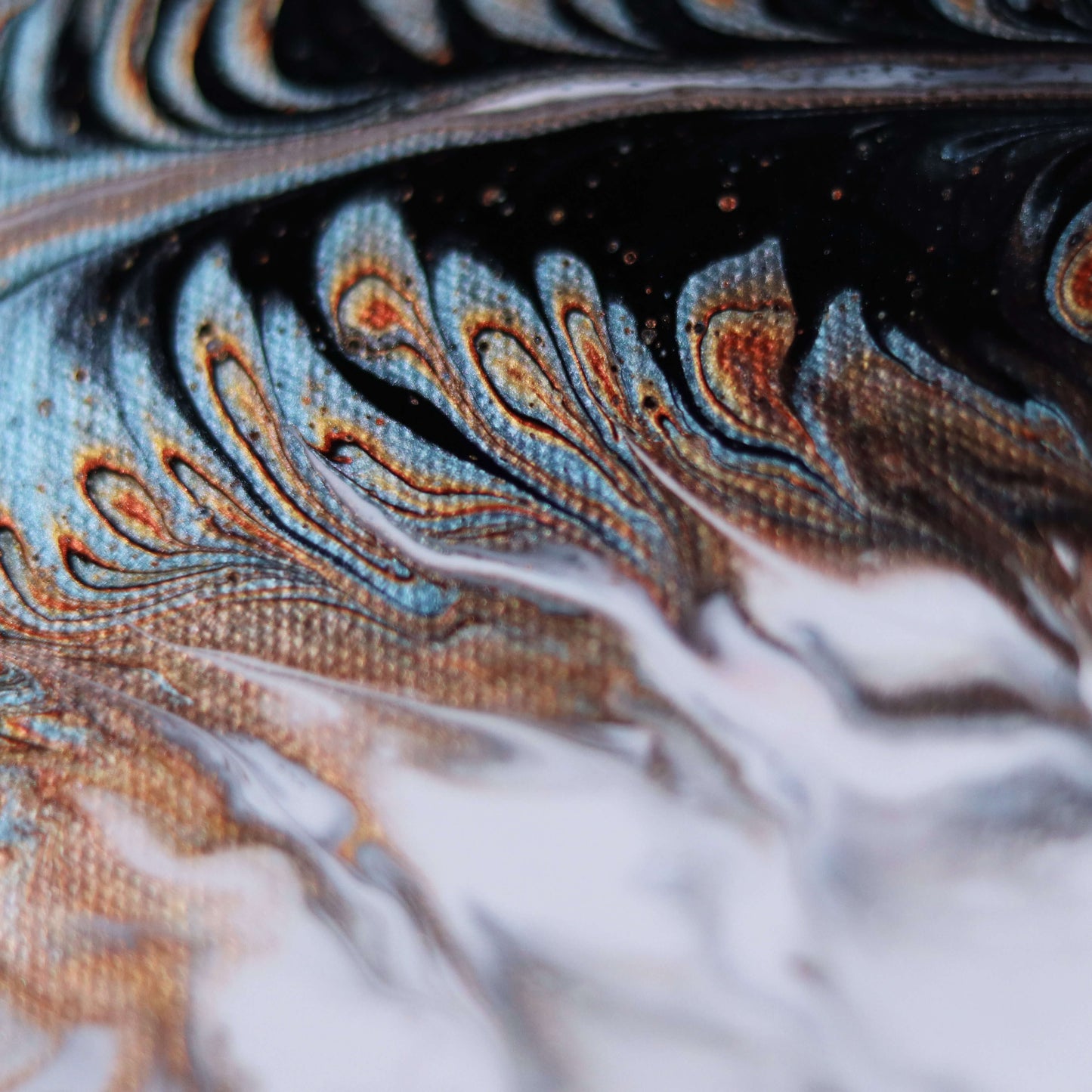 30×25 cm - Feather