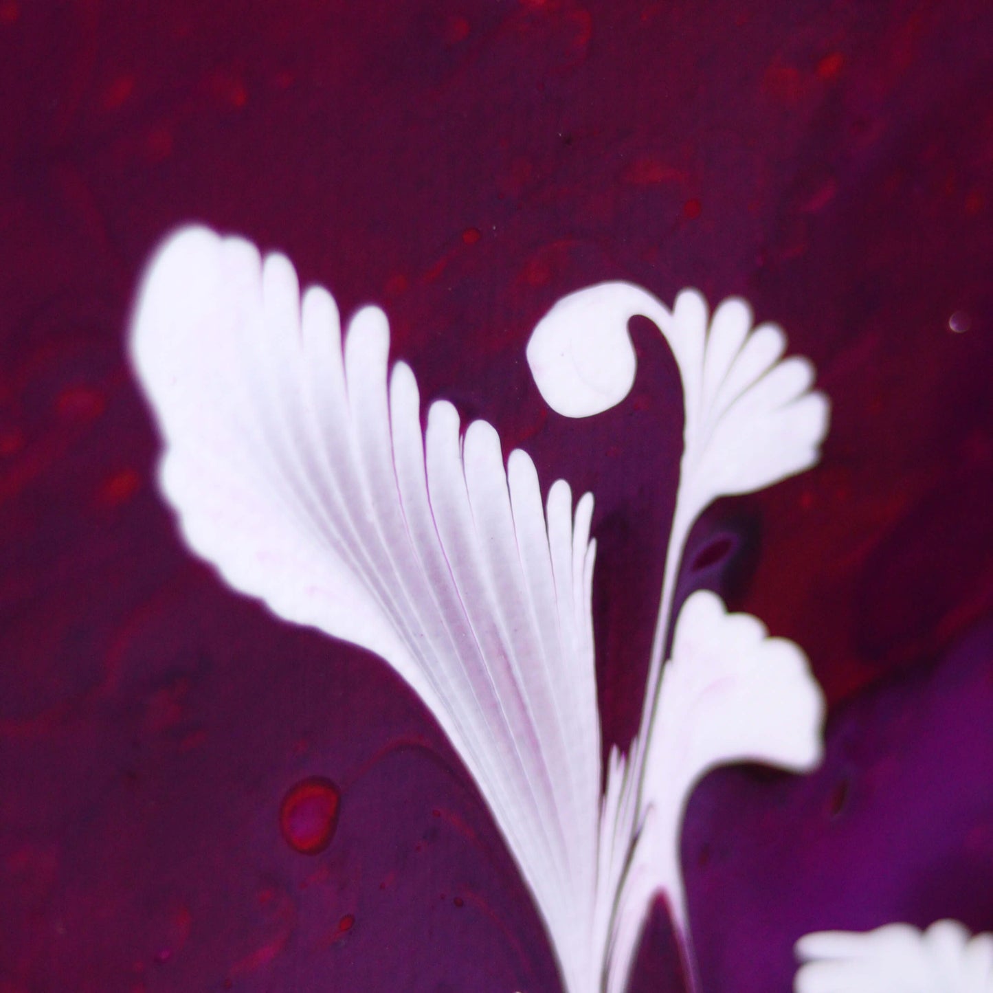 40×40 cm - Fire flowers