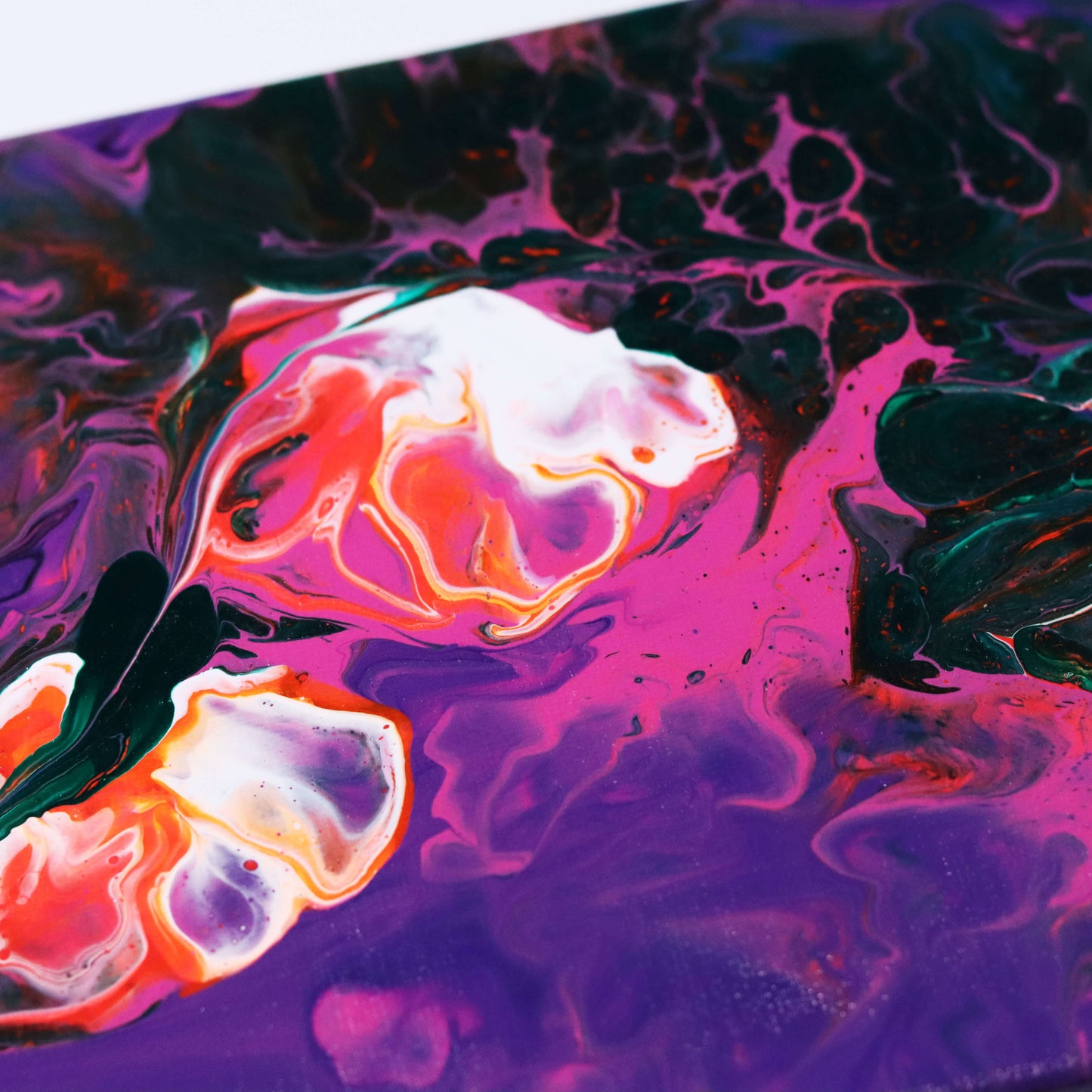 60×20 cm - Seaflover