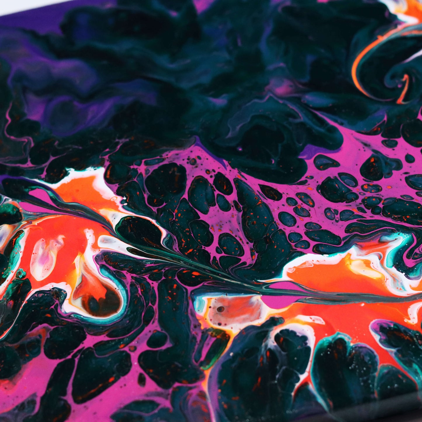 60×20 cm - Seaflover