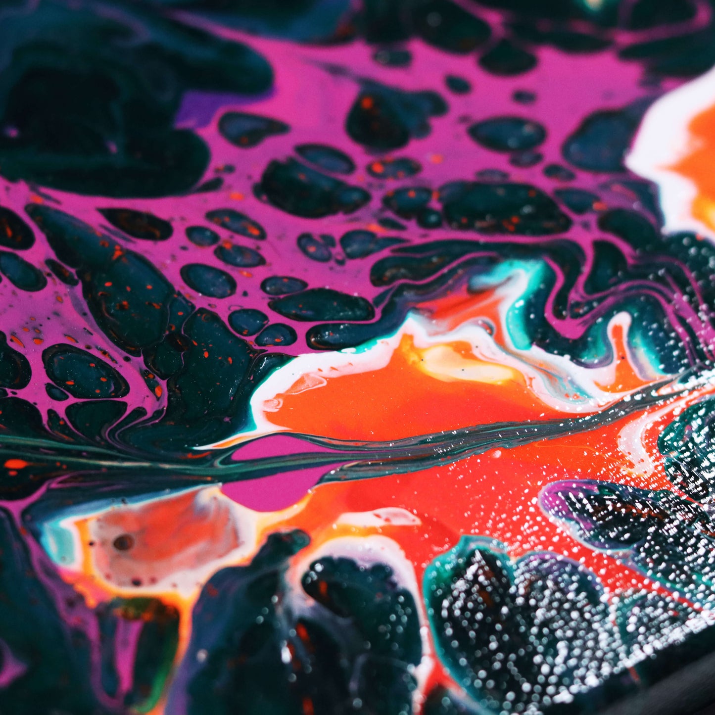60×20 cm - Seaflover
