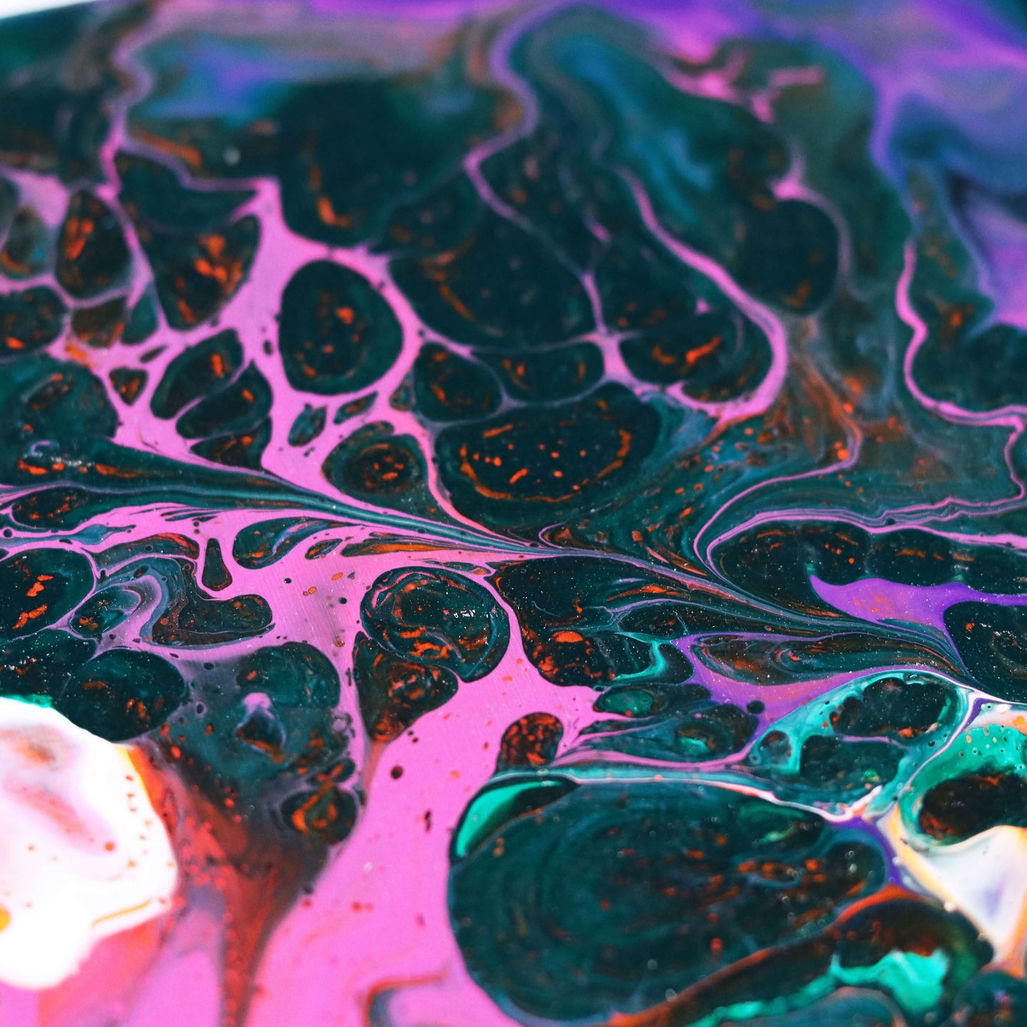 60×20 cm - Seaflover