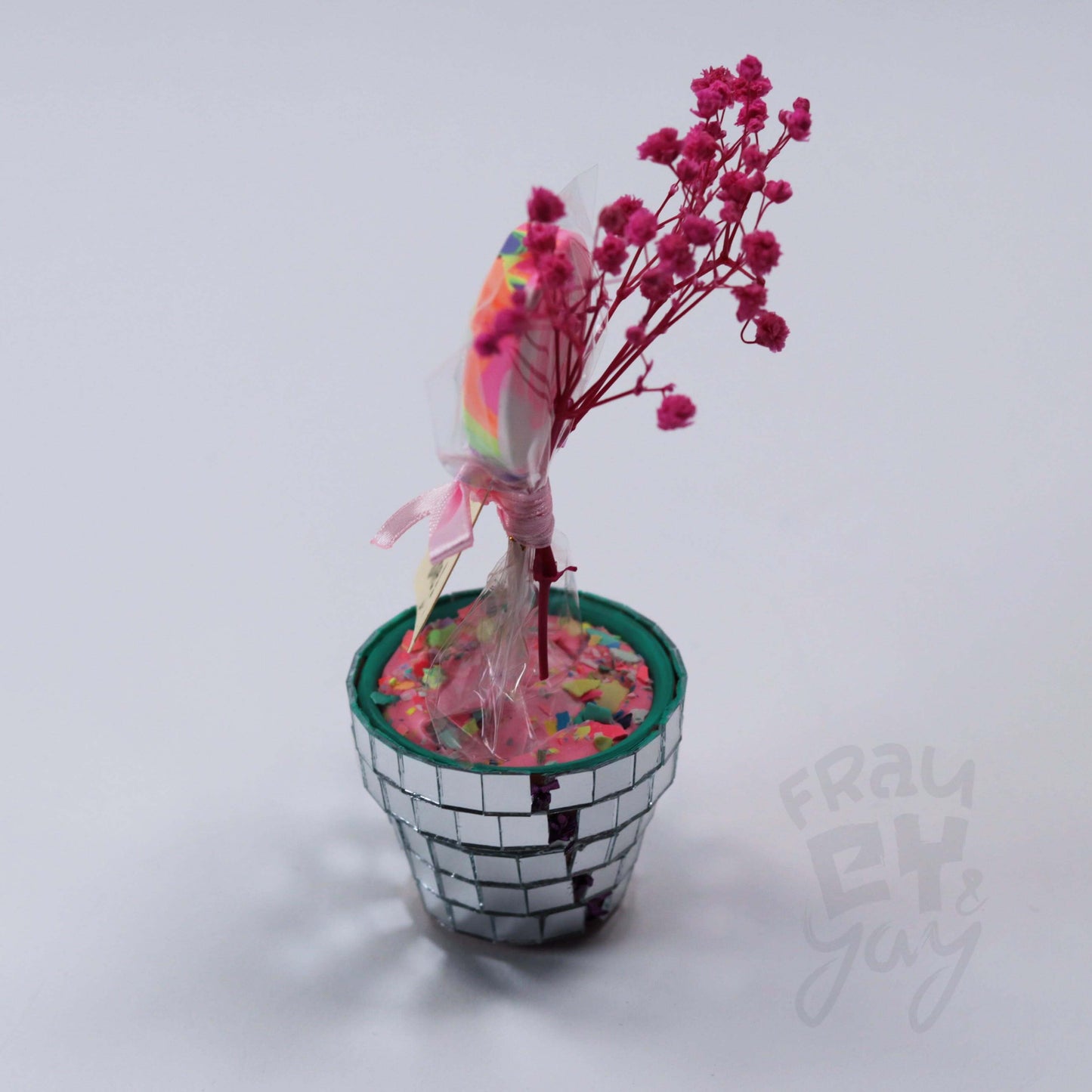 Lolli Blume