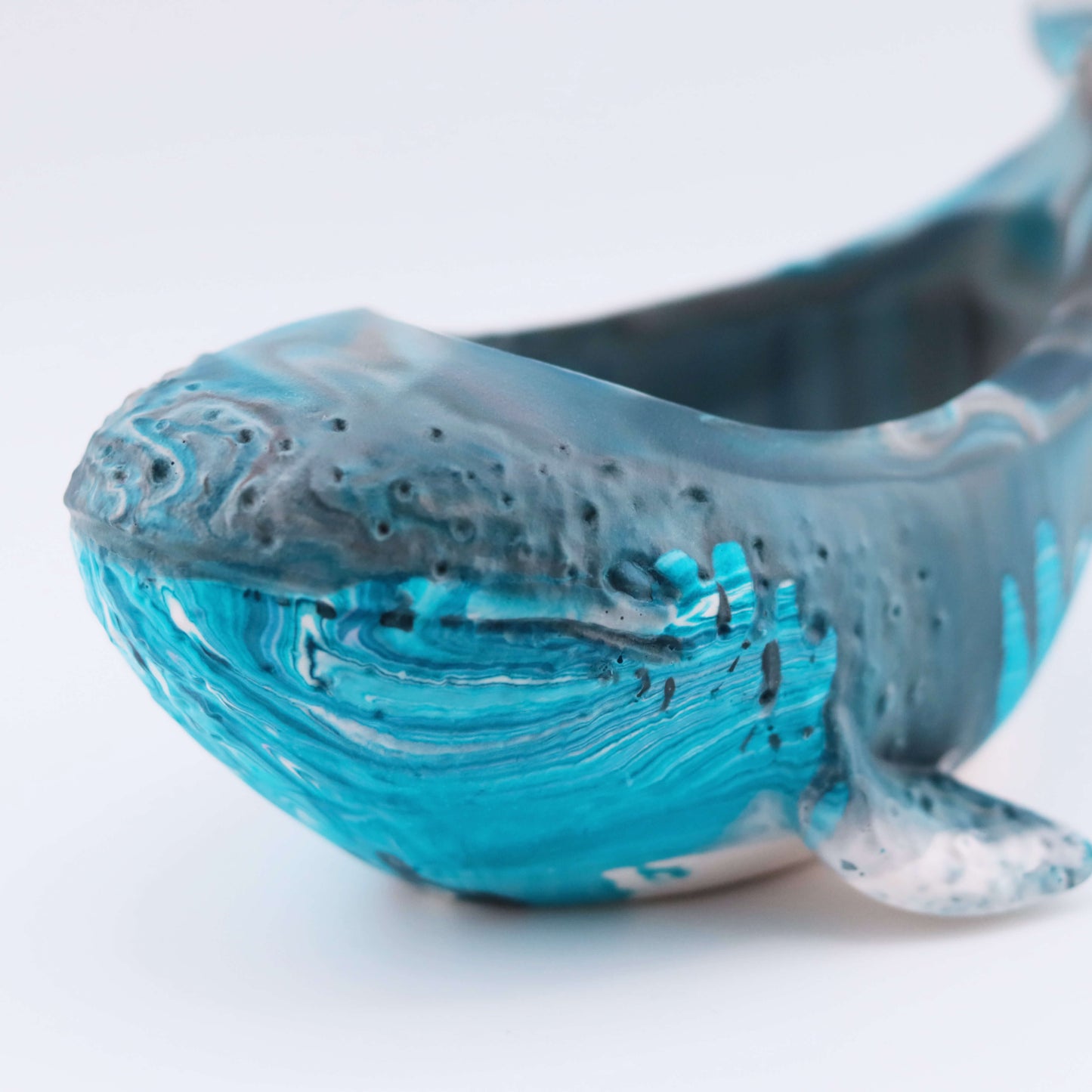 Der kleine Wal Schale